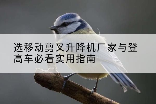 天镇电动升降机厂家-选移动剪叉升降机厂家与登高车必看实用指南