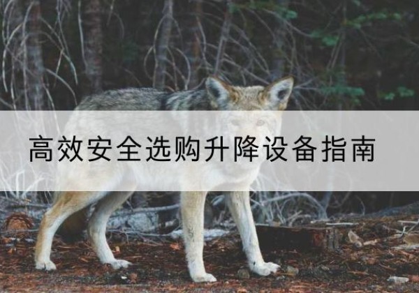 天镇升降货梯厂家推荐-*安全选购升降设备指南