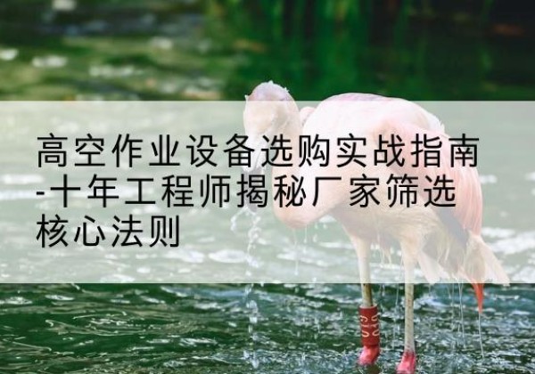 天镇剪叉式升降机厂家-高空作业设备选购实战指南-十年工程师揭秘厂家筛选核心法则