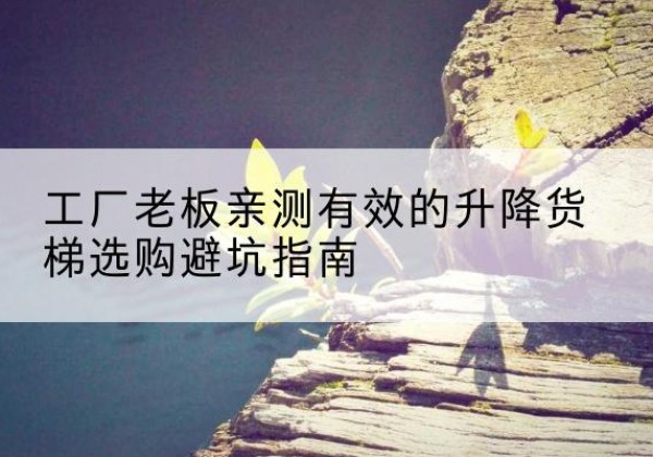 天镇升降货梯怎么选-工厂老板亲测有效的升降货梯选购避坑指南